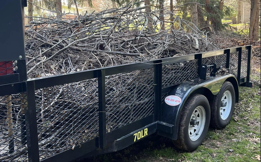 Image of yard waste removal service.