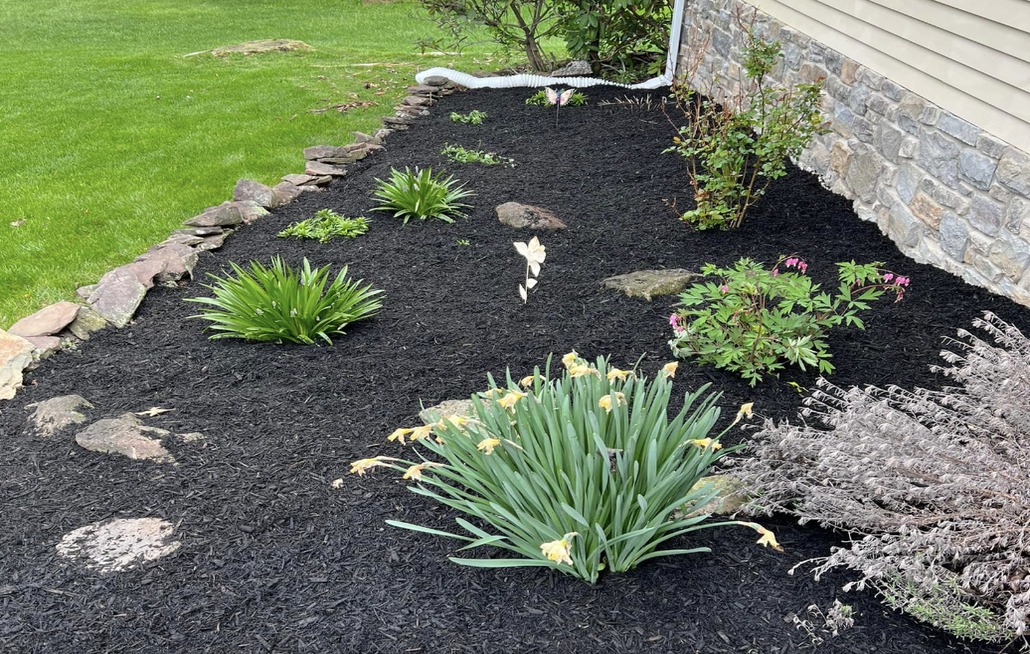 Image of landscaping service.