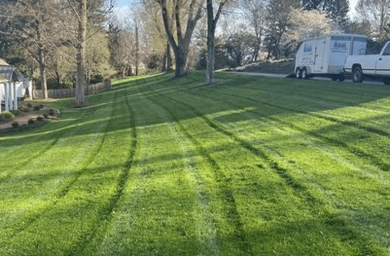 WHY LANES LAWN?