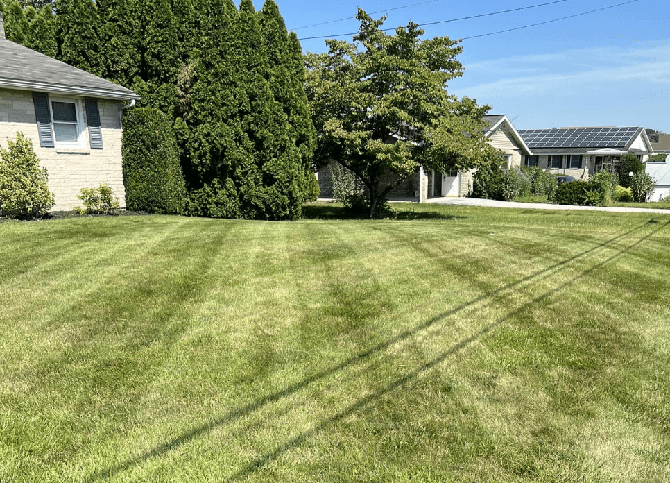 Image of lawn mowing service.