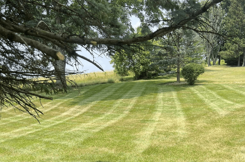 Image of lawn mowing service.